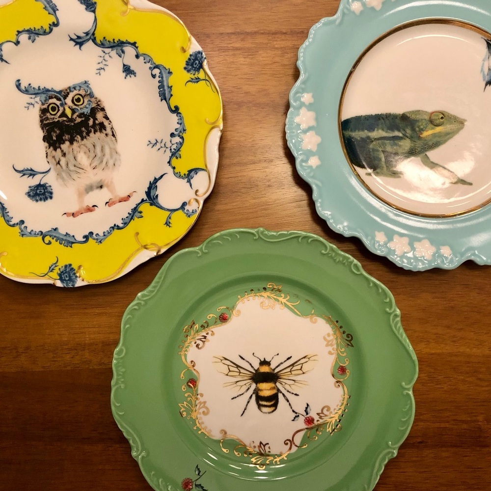 ✨Anthropologie Lou Rota Plates✨